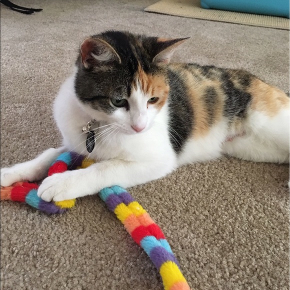 Meet your Posher, Shannon - Picture 2 of 4