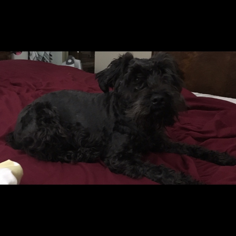 Meet your Posher, Tina