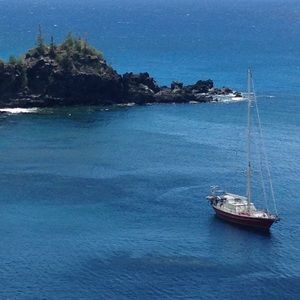 Meet your Posher, Hailey