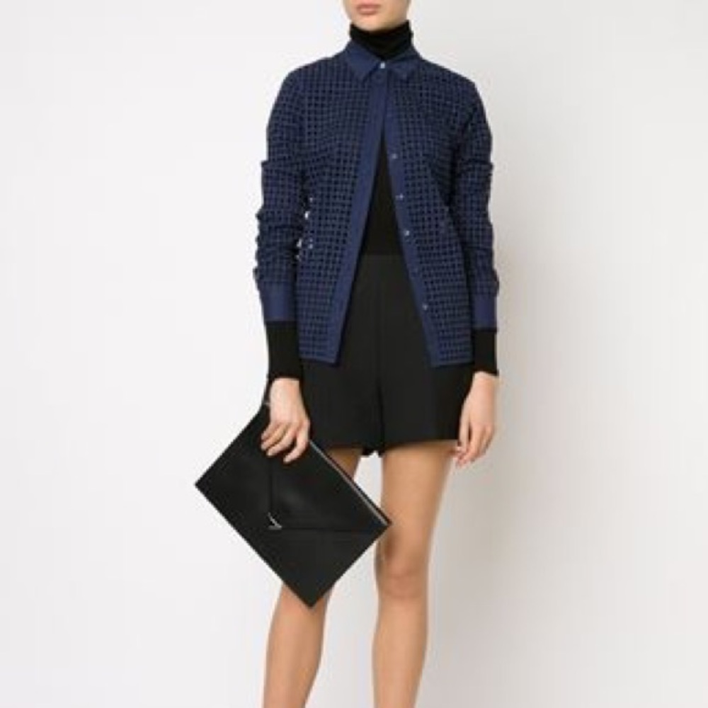 Alexander Wang prisma clutch