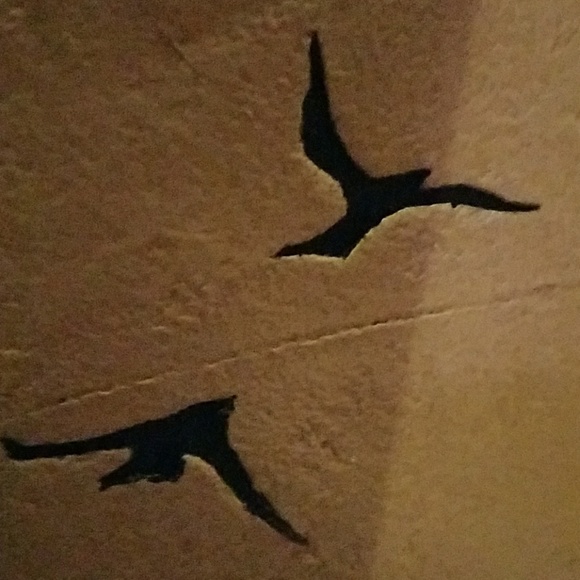 Meet your Posher, Angela - Picture 1 of 1