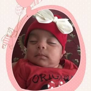 Meet your Posher, Paula