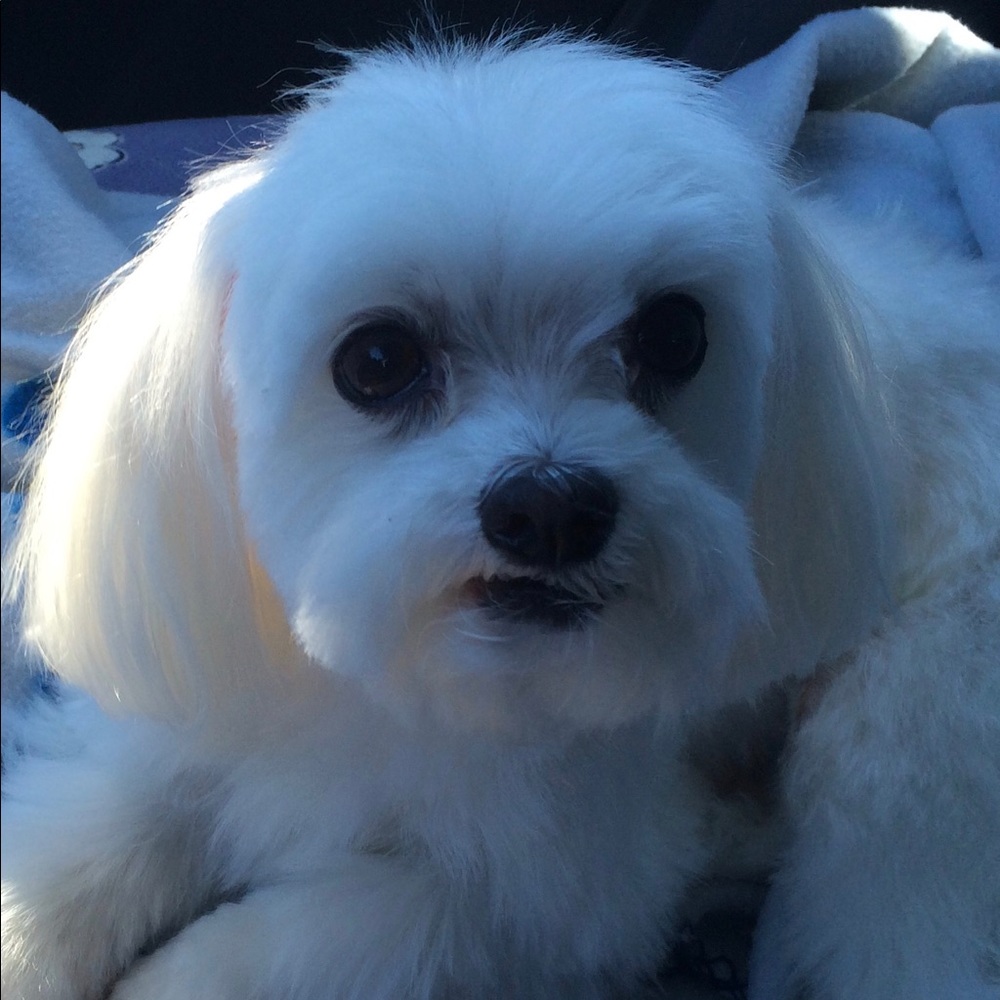 Meet your Posher, Keilani