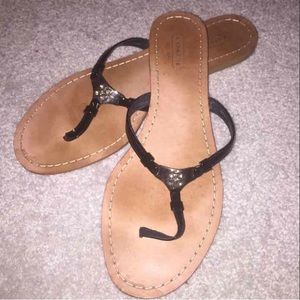 (7.5) coach sandals