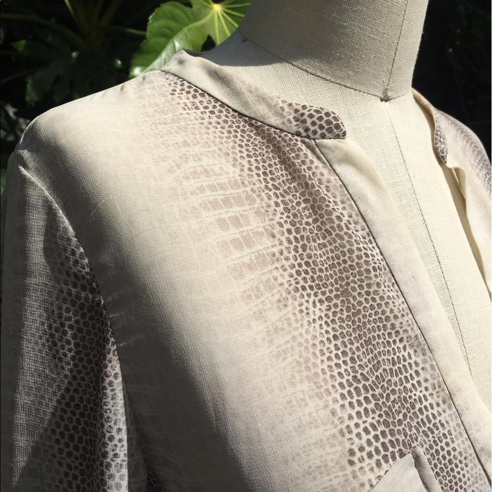 Zara sheer blouse