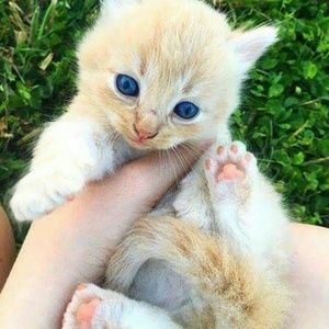 Meet your Posher, Clay