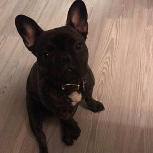 Meet your Posher, William