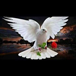 Meet your Posher, Efrem