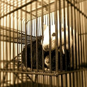 Meet your Posher, Madylin