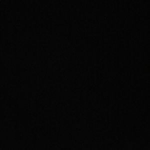 Meet your Posher, Adele