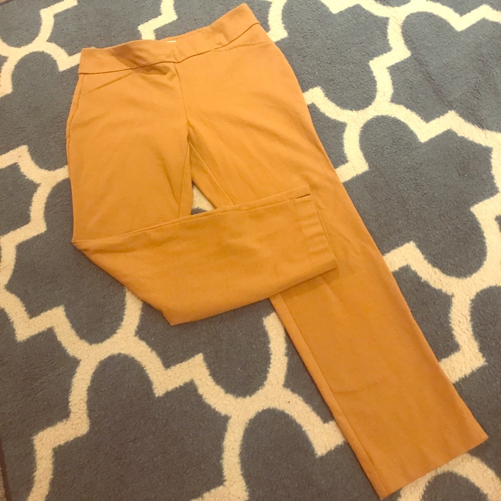 Mustard Comfortable Capris Pants