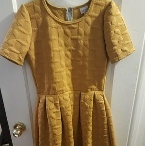 Med Lularoe Amelia