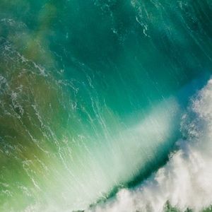 Meet your Posher, Ji won