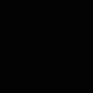 Meet your Posher, Bryant