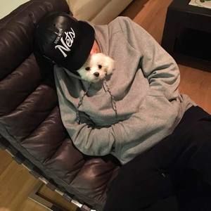 Meet your Posher, Andy