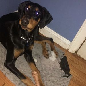 Meet your Posher, James