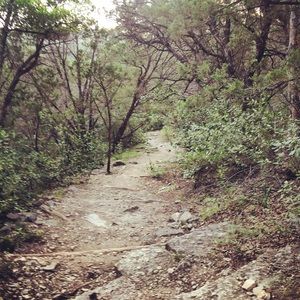 Meet your Posher, Gene