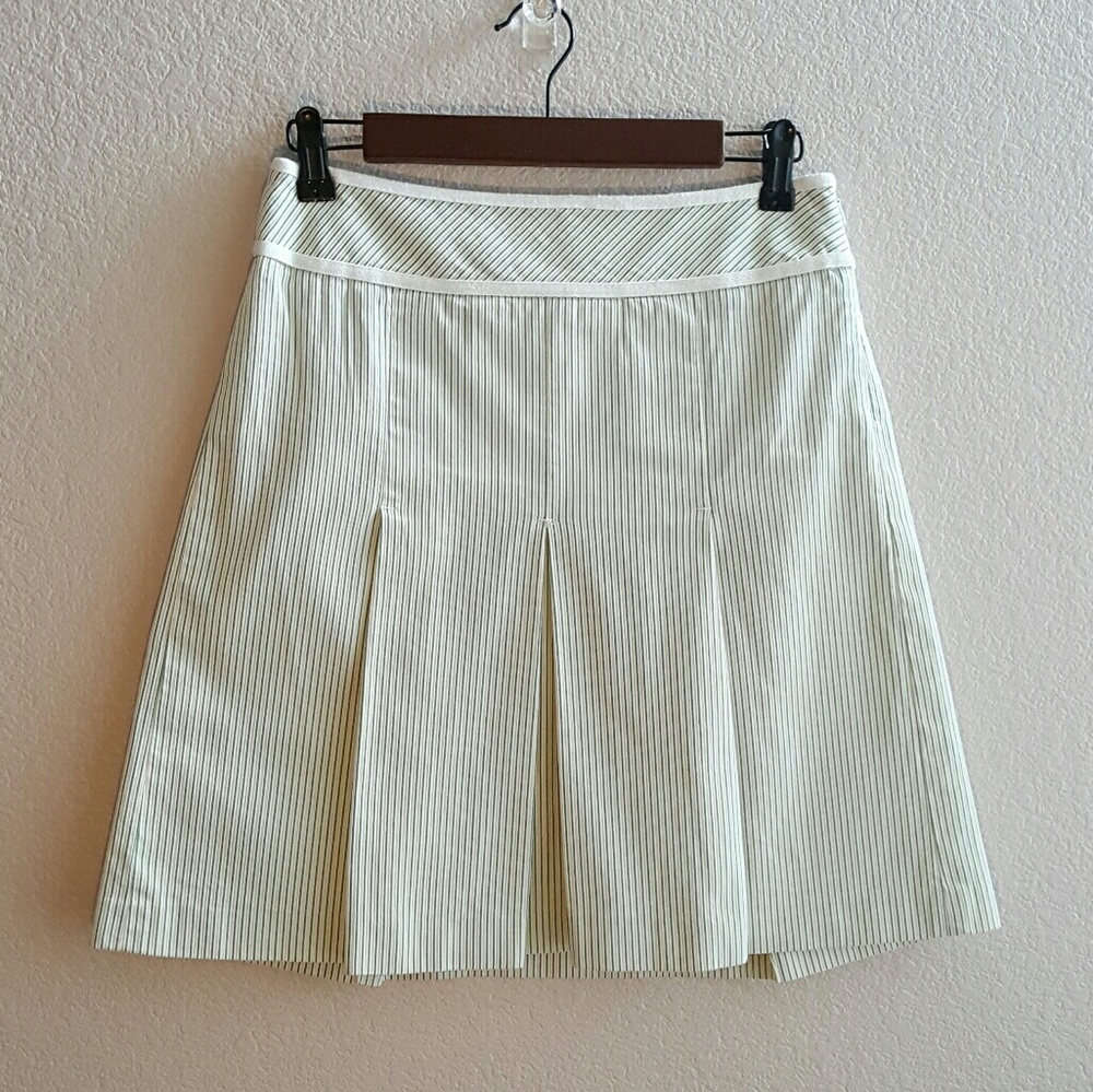 Ann Taylor Loft Pleated Skirt - Petites