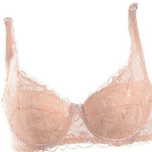 Sexy women unwired shear bra