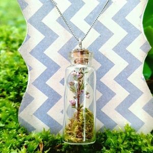 SALE!"Warranted Wanderings🌹 Terrarium Necklace