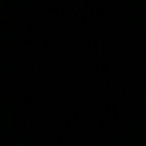 Meet your Posher, Tyrone