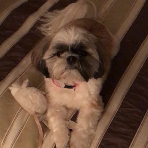 Meet your Posher, Yvonne - Picture 1 of 1