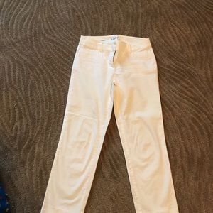 Ann Taylor Loft original ankle pant