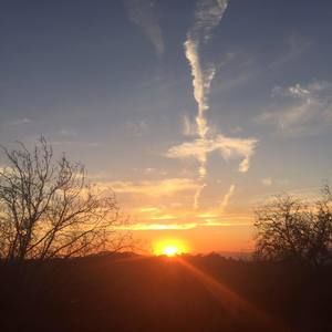 Meet your Posher, Tony