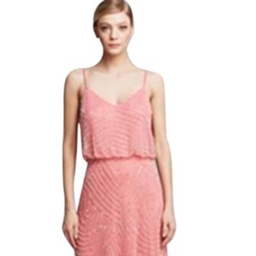 Adrianna Papell Blush Blouson Dress NWT