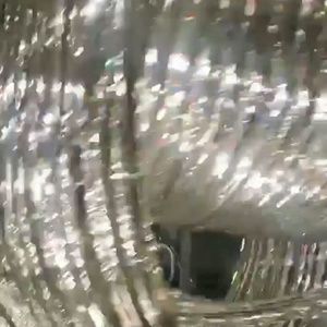 Meet your Posher, Noel