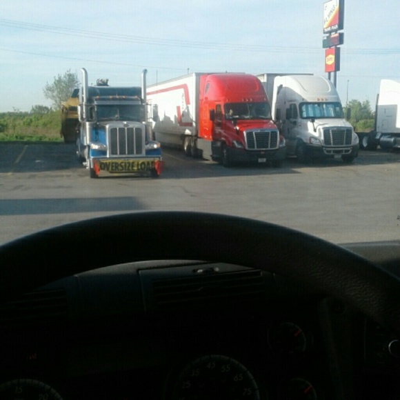 Meet your Posher, Akeem - Picture 1 of 1