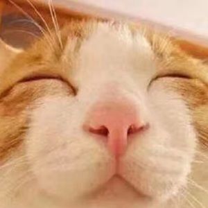 Meet your Posher, Tongrong