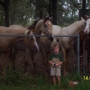 Meet your Posher, Matthew