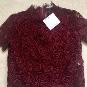 Brand New with Tags Zara crop top