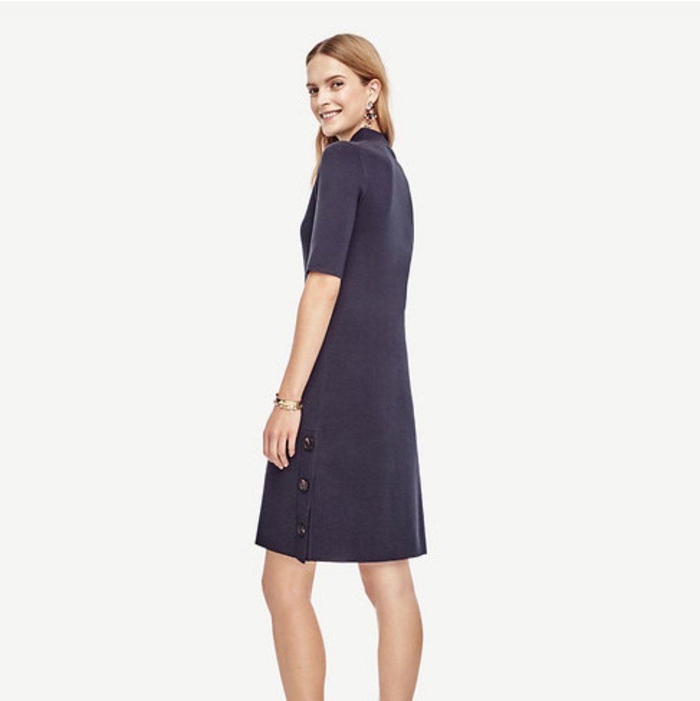 Ann Taylor Shift Dress
