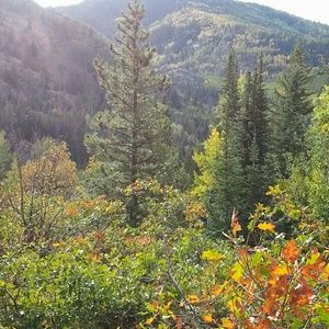 Meet your Posher, Carolyn