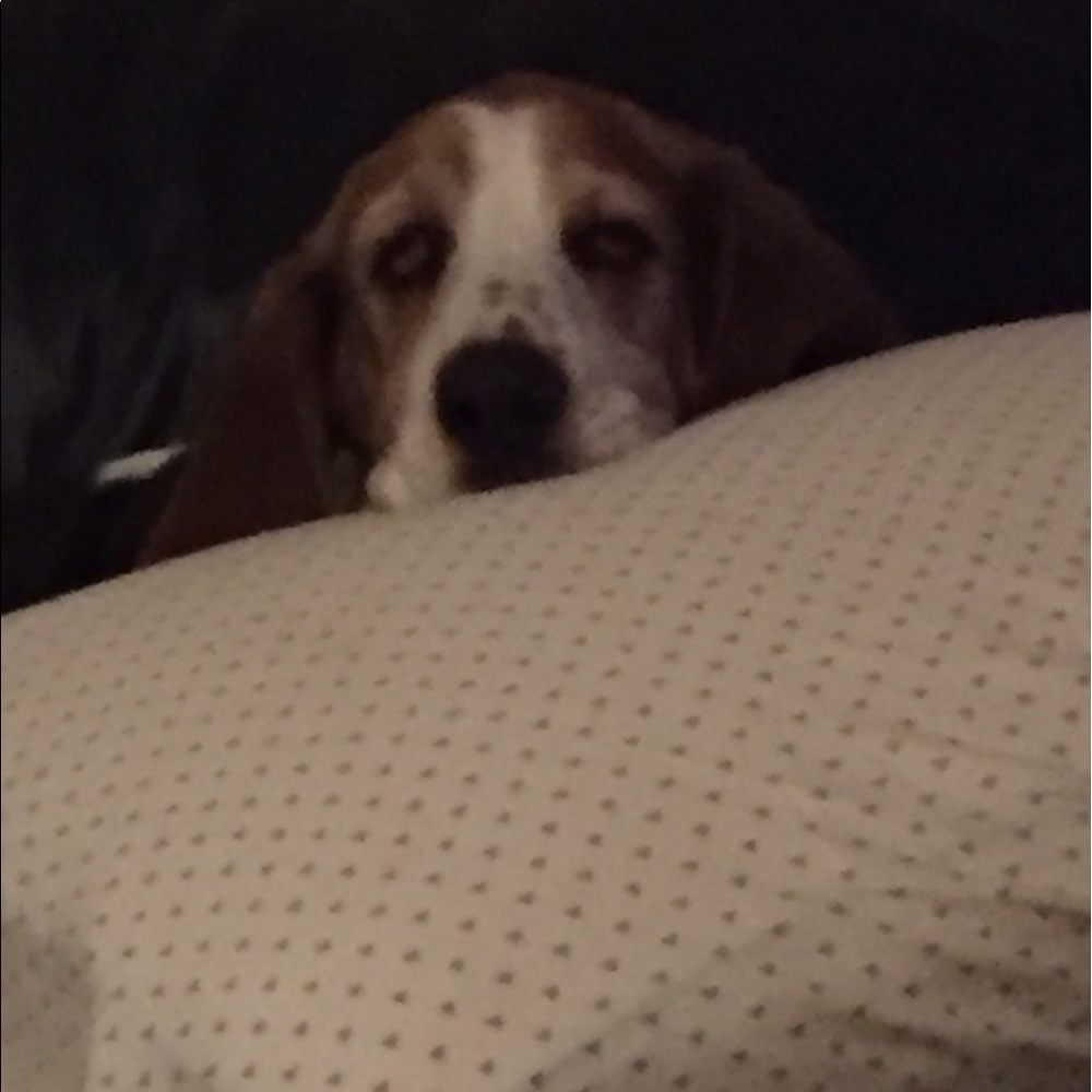 Buster ❤️❤️❤️