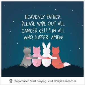 Meet your Posher, Lynn