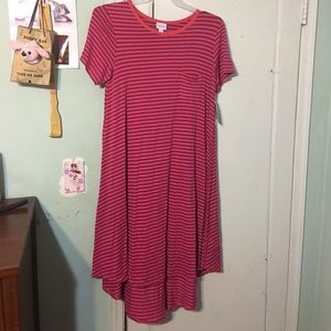 Nwt medium carly by lularoe