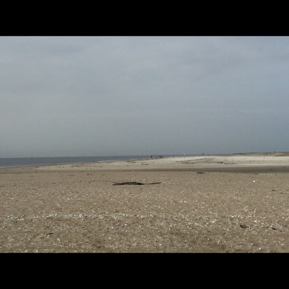 Meet your Posher, Brandi - Picture 1 of 1