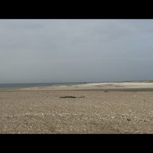 Meet your Posher, Brandi