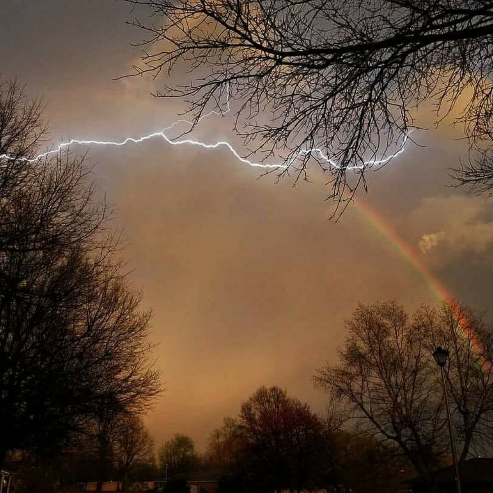 Meet your Posher, Shelly