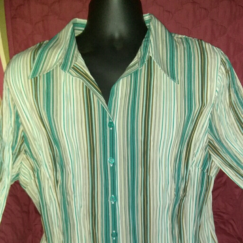 Multicolored pinstripe women's blouse 14/16 green
