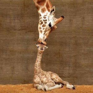 Meet your Posher, Kristan