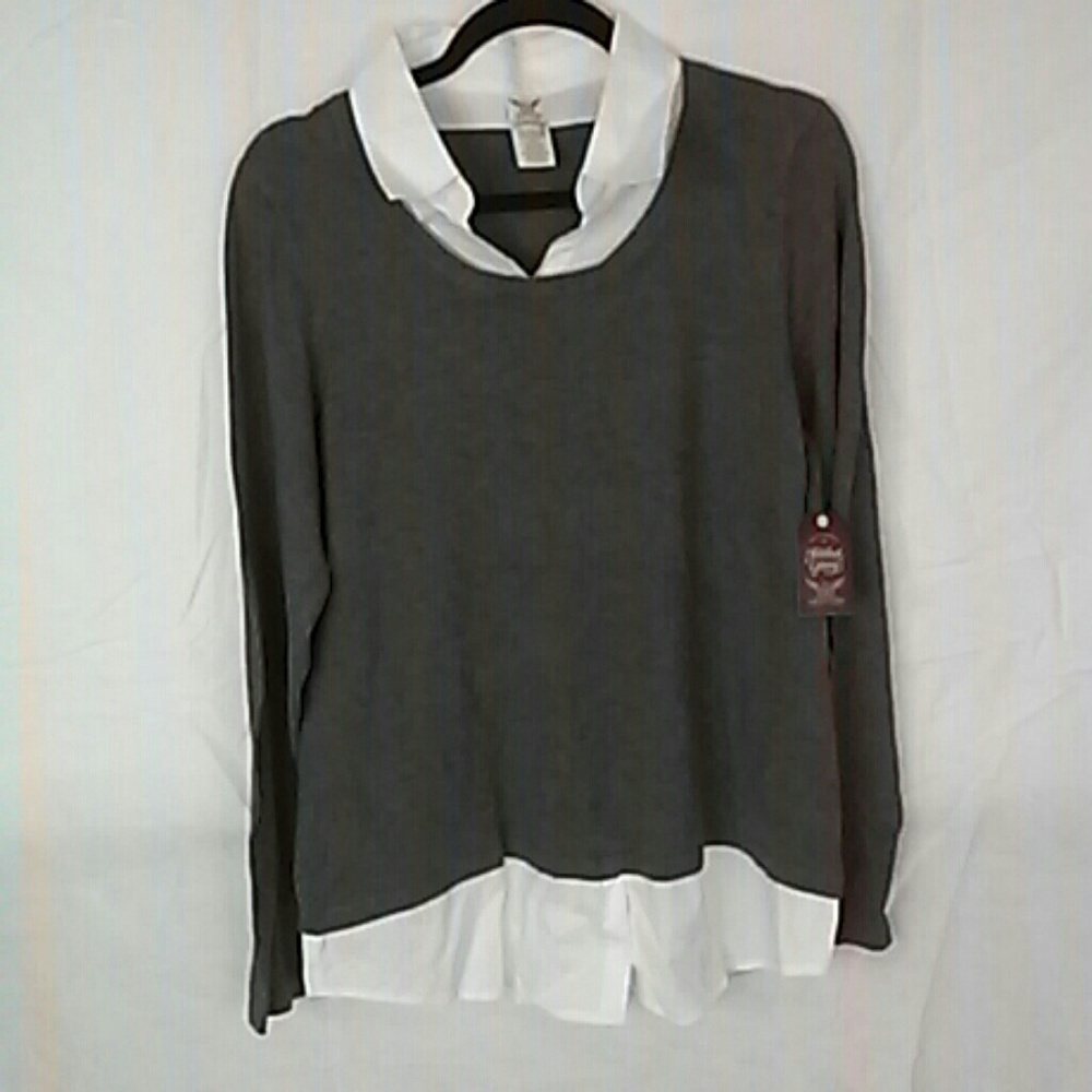 Gray Dress shirt