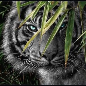 Meet your Posher, Latasha