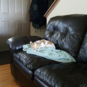 Meet your Posher, Debbie