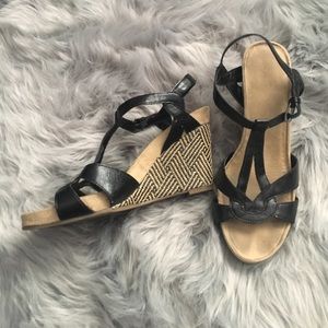 Black and Tan Wedges