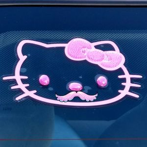 Meet your Posher, Treasa