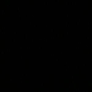 Meet your Posher, Esther